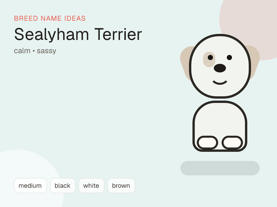 Sealyham Terrier dog name generator visual