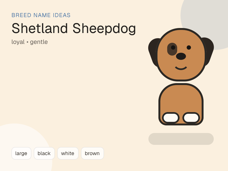 Shetland Sheepdog dog name generator visual