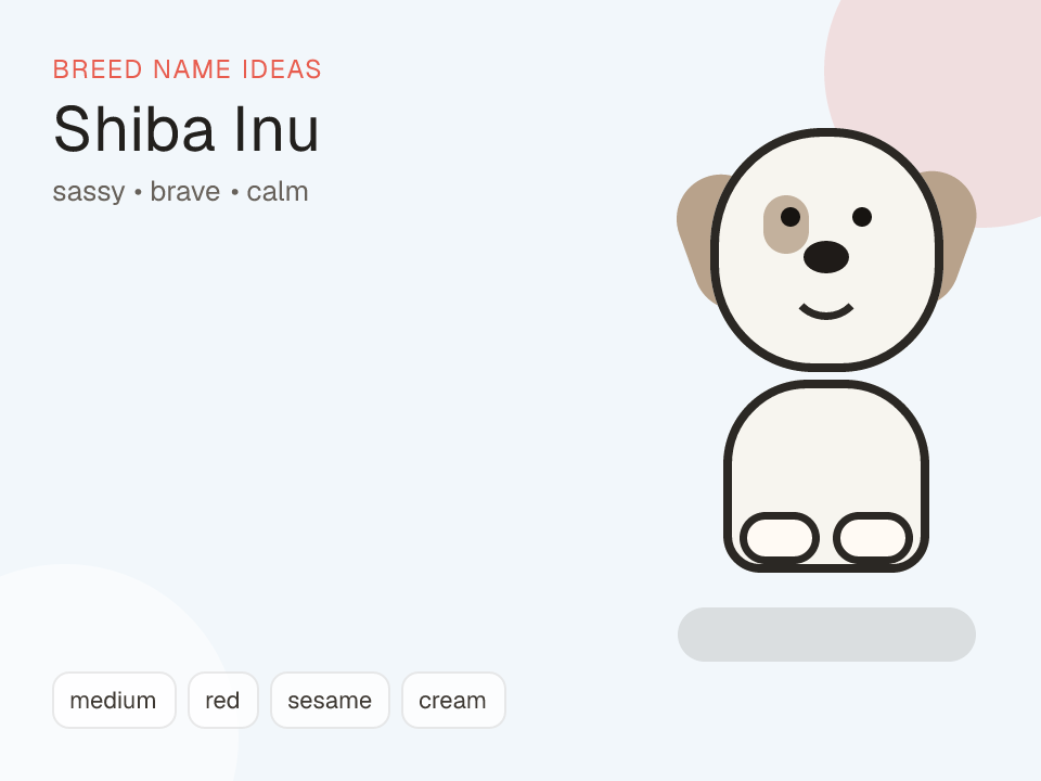 Shiba Inu dog name generator visual