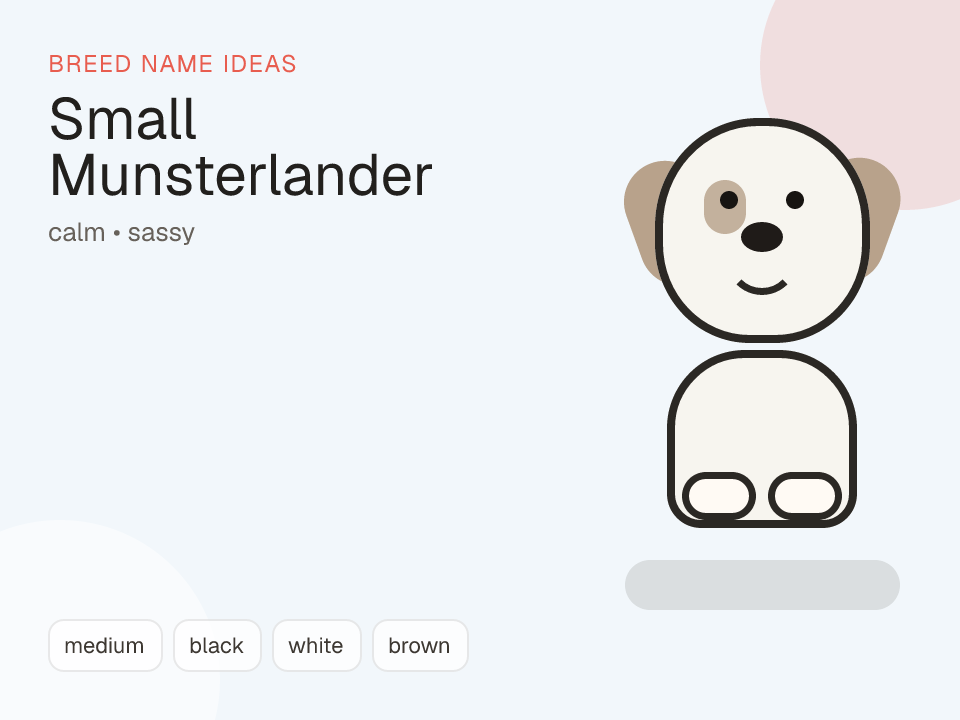 Small Munsterlander dog name generator visual