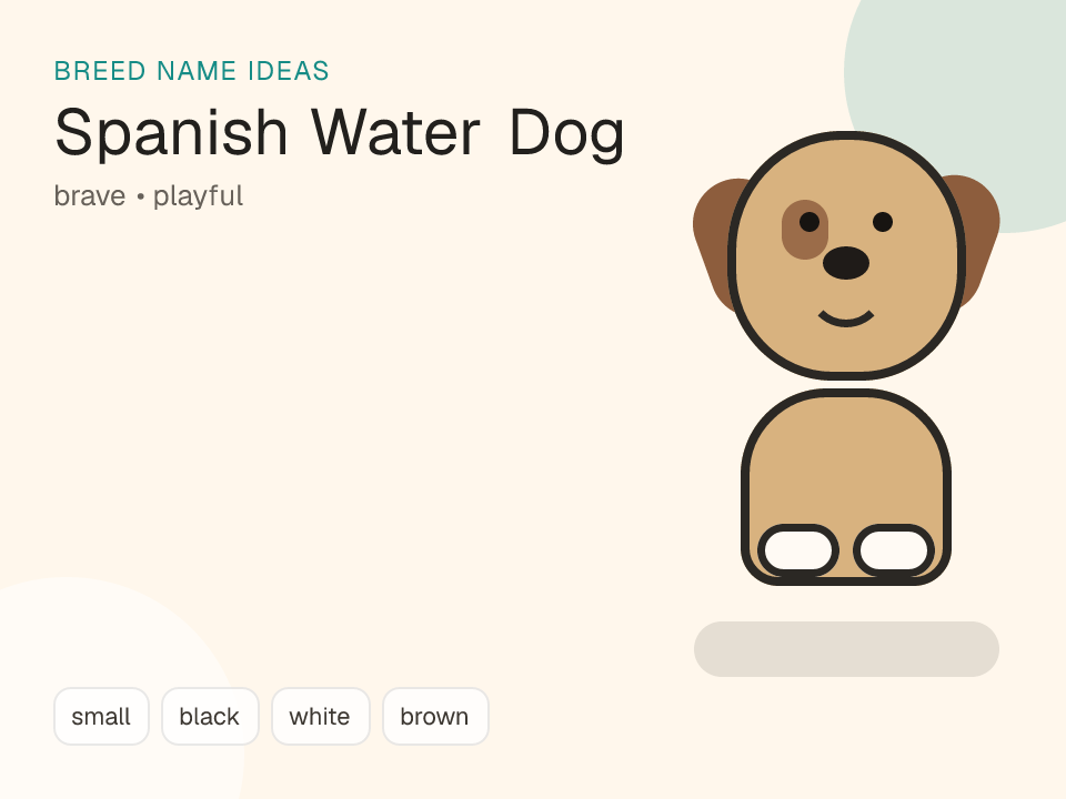 Spanish Water Dog dog name generator visual