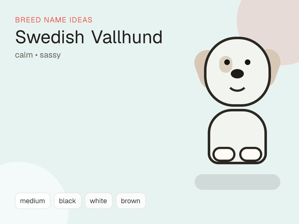 Swedish Vallhund dog name generator visual