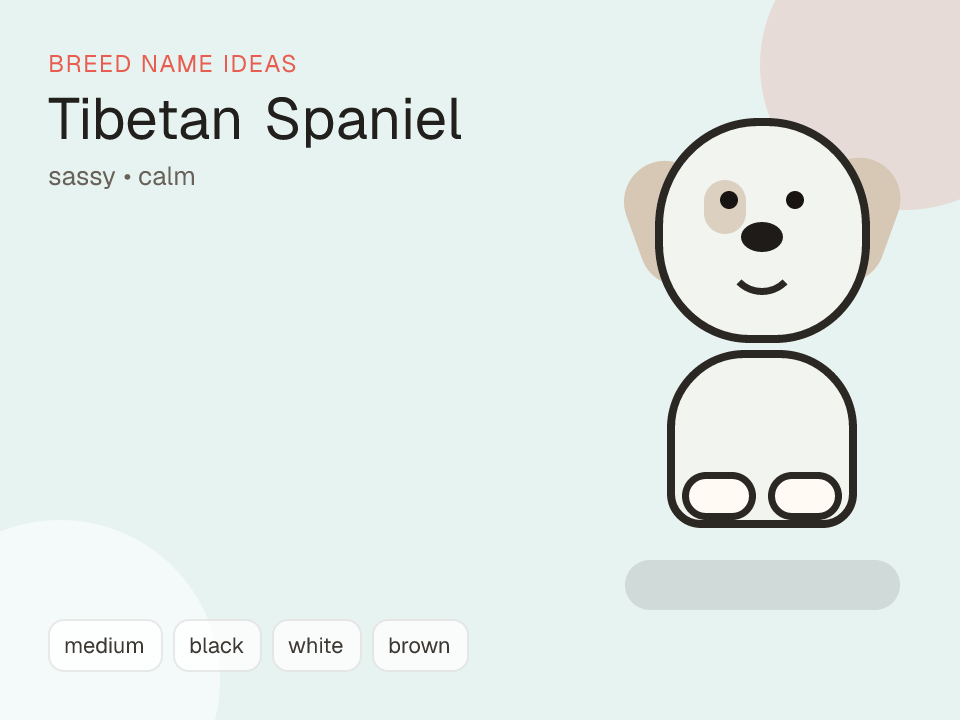 Tibetan Spaniel dog name generator visual