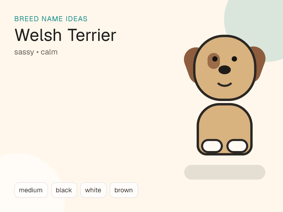 Welsh Terrier dog name generator visual