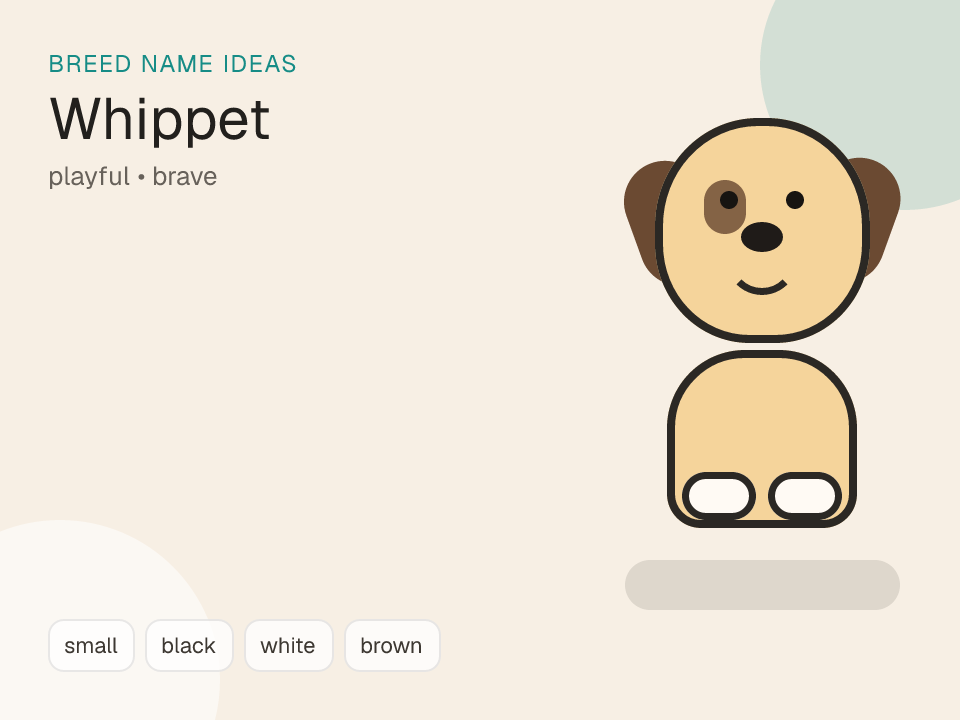 Whippet dog name generator visual