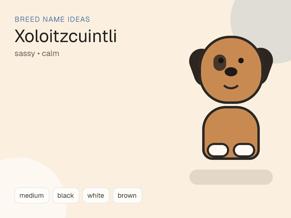 Xoloitzcuintli dog name generator visual
